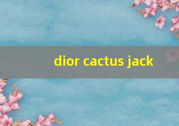 dior cactus jack